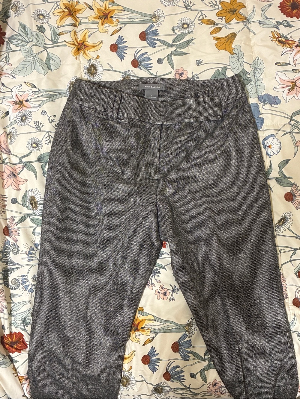 Ann Taylor Charcoal Gray Dress Trousers